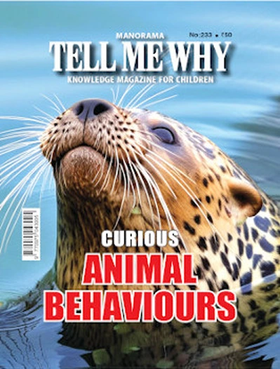 Tell Me Why Magazine